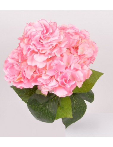 PIQUET HORTENSIA X5 PINK