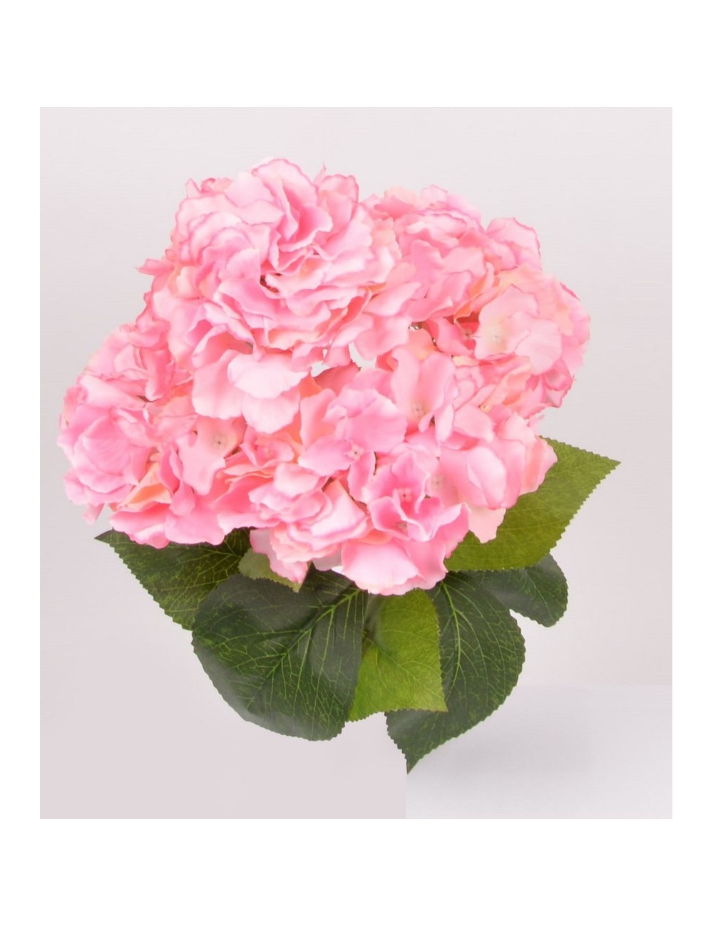 PIQUET HORTENSIA X5 PINK