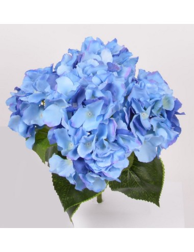 PIQUET HORTENSIA X5 DARK BLUE