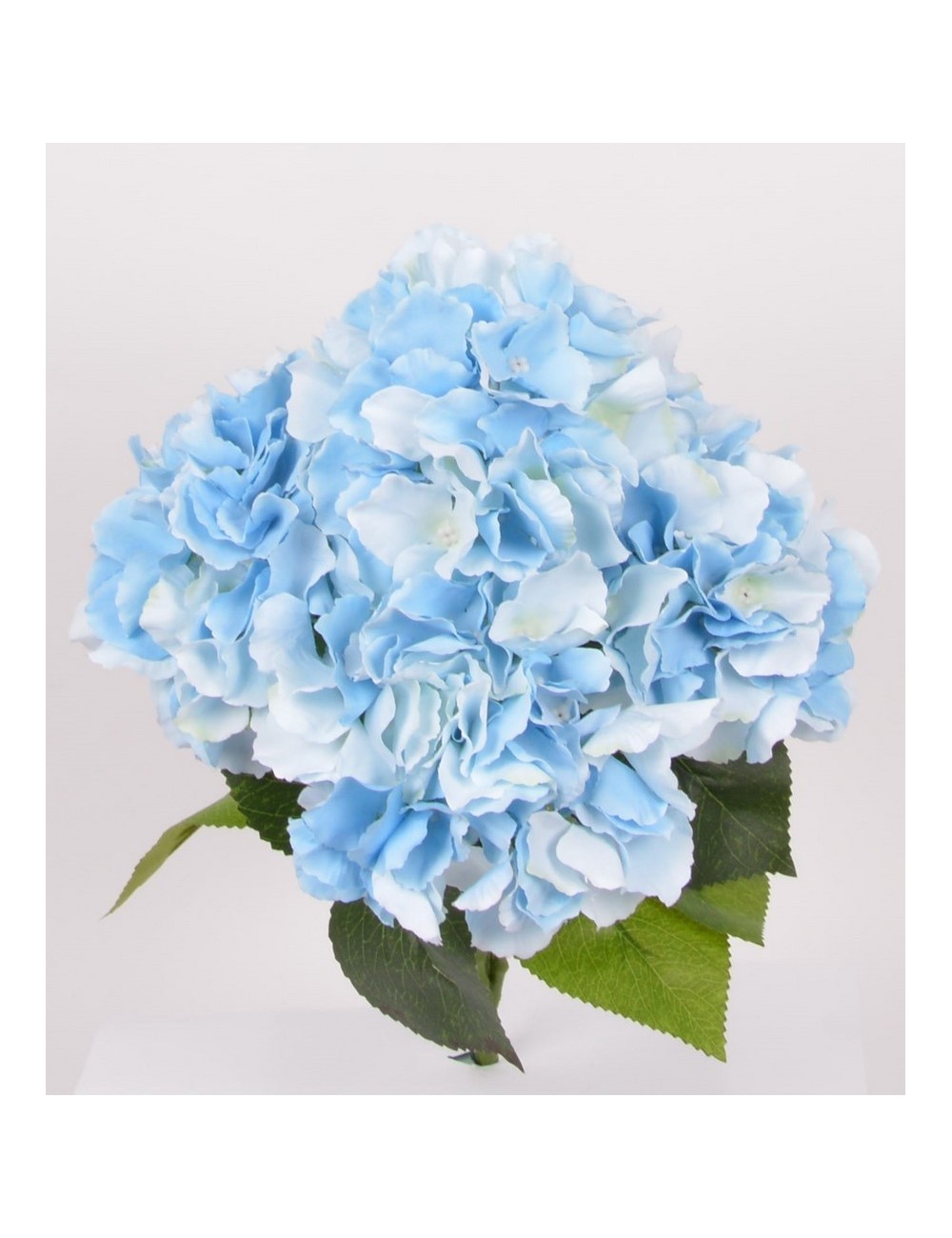 PIQUET HORTENSIA X5 PINK PIQUET HORTENSIA X5 PINK