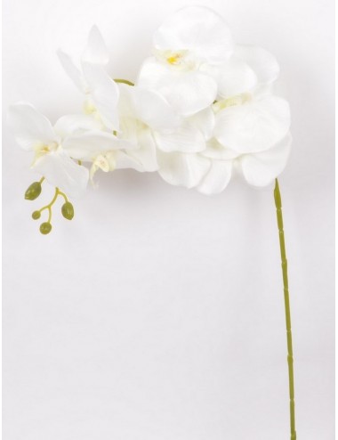 BRANCHE ORCHIDEE WHITE