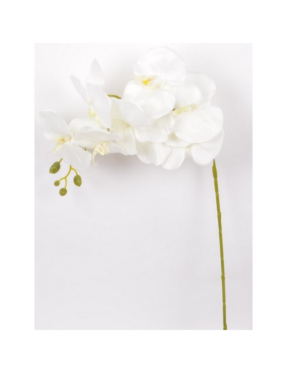 BRANCHE ORCHIDEE WHITE