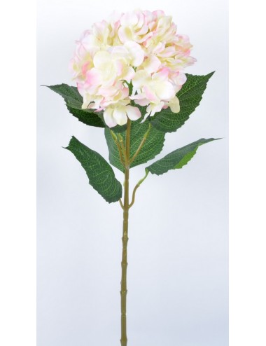 HORTENSIA TIGE LIGHT PINK