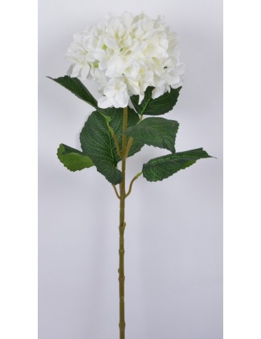 HORTENSIA TIGE LIGHT PINK