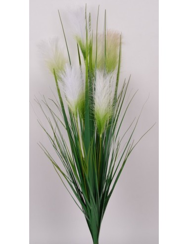 HERBE DE LA PAMPA 7 PLUMEAUX WHITE