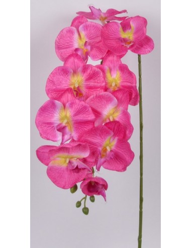 ORCHIDEE 9 FLEURONS 1 BOUTON PINK