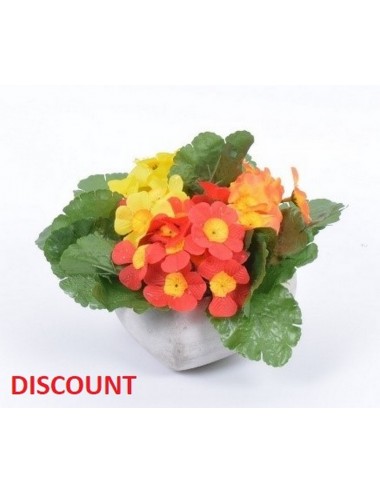 COEUR BETON PM DISCOUNT PRIMEVERE X3 MOUSSE COLORIS ASSORTIS