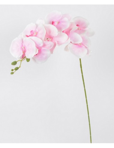 BRANCHE ORCHIDEE WHITE