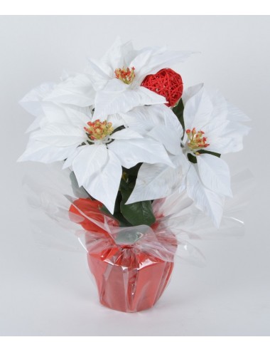 POT 14 CM POINSETTIA RATTAN BALL WHTE