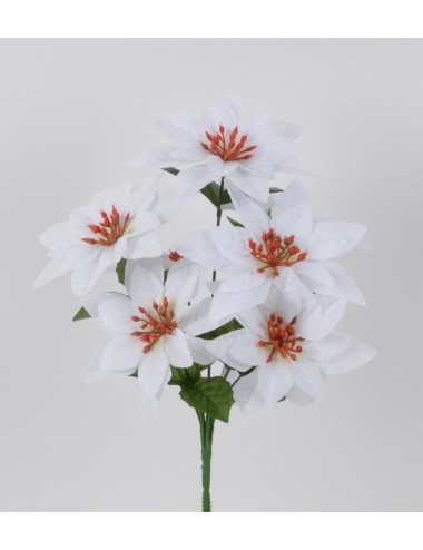 PIQUET DE POINCETIA X7 WHITE