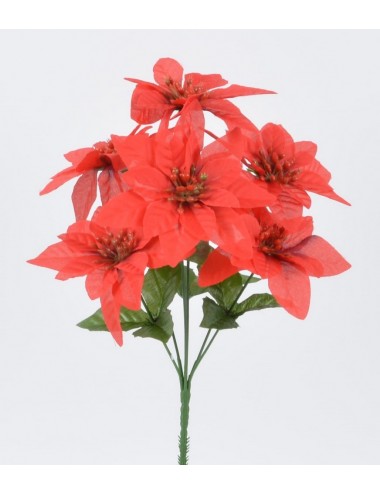 PIQUET DE POINCETIA X7 ASSORTI