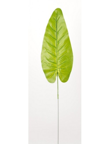 FEUILLE ANTHURIUM