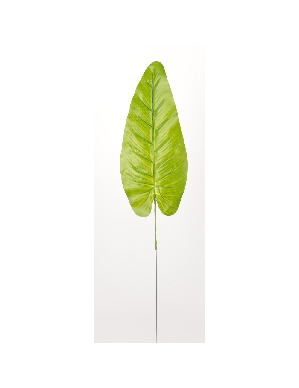 FEUILLE ANTHURIUM