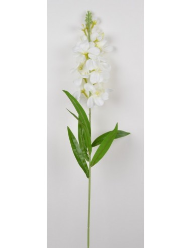 DELPHINIUM GM WHITE