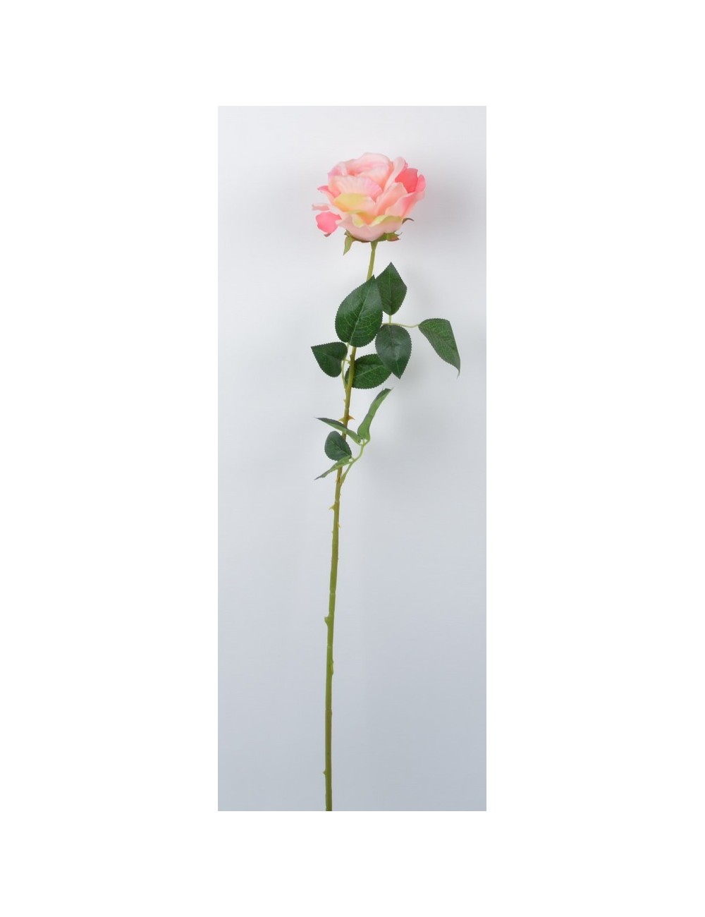 ROSE OUVERTE DECO LT YELLOW