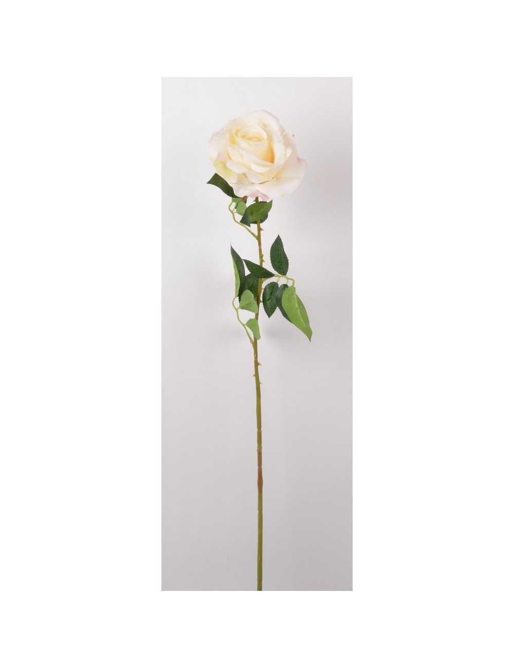 ROSE OUVERTE DECO LT YELLOW