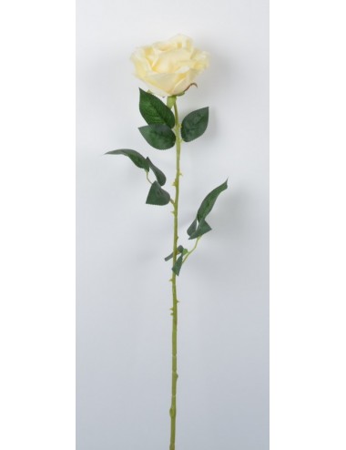 ROSE OUVERTE DECO LT YELLOW