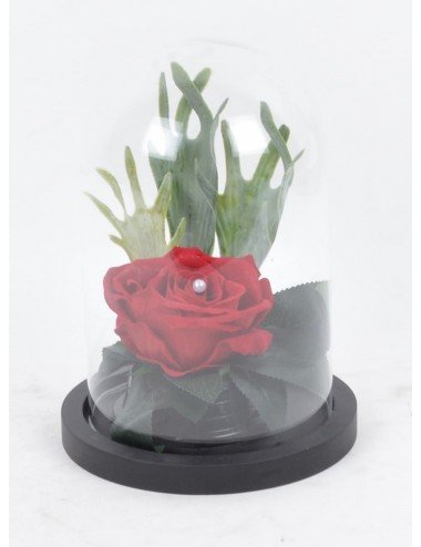 ROSE VELOUR SOUS CLOCHE DE VERRE + PERLE ROSE