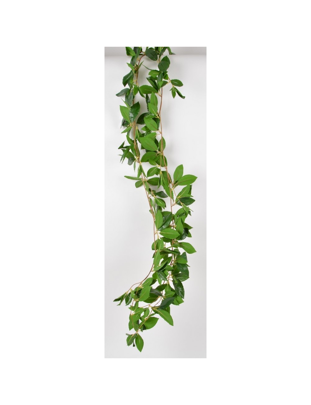GUIRLANDE DE LAURIER GREEN GUIRLANDE DE LAURIER GREEN