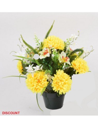 POT 14 CM CHRYSANTHEME ORCHIDEE X 24 TIGES ASS