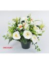 POT 14 CM PIVOINE RENONCULE ORCHIDEE X24 TIGES ASS