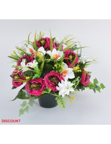 POT 14 CM PIVOINE RENONCULE ORCHIDEE X24 TIGES ASS