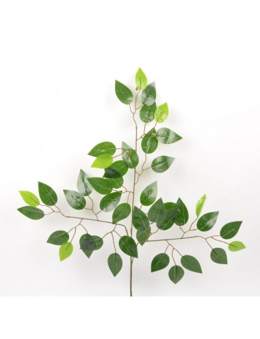 BRANCHE DE FICUS X3 (39 FEUILLES) GREEN