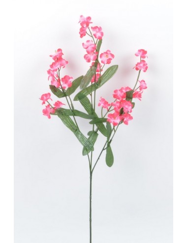 MYOSOTIS RED BLACK