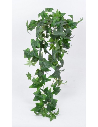 CHUTE DE LIERRE GREEN