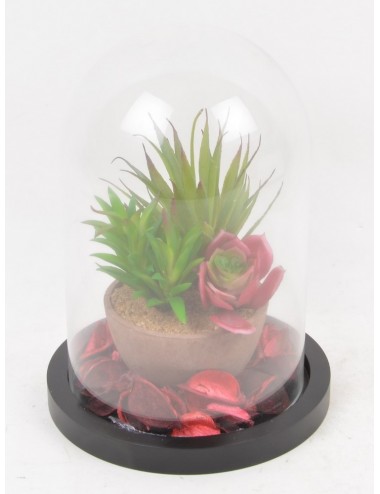 CACTUS POT POURRI SOUS CLOCHE EN VERRE RED