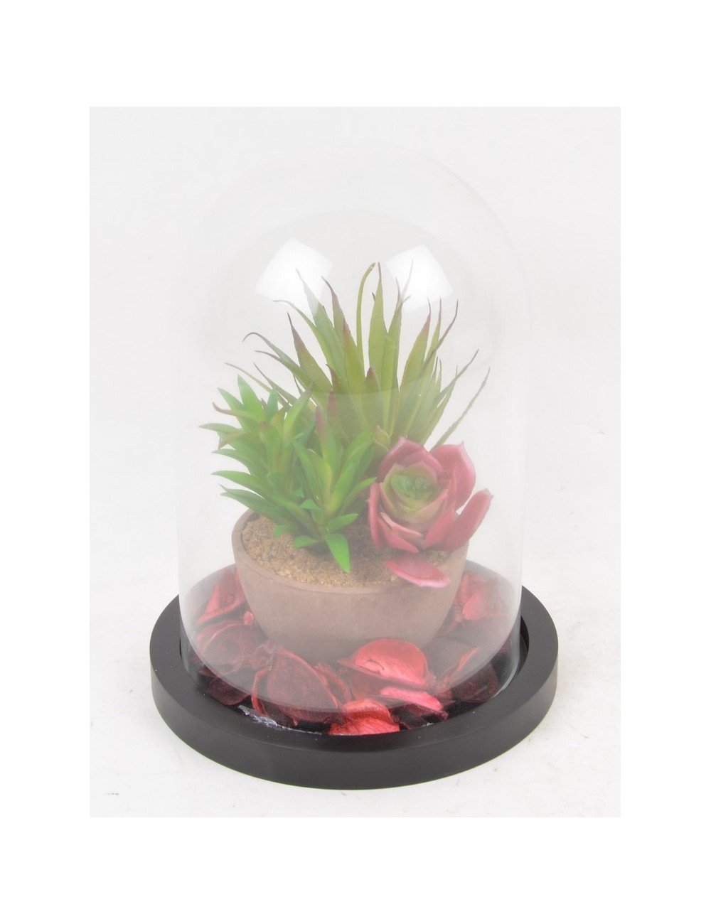 CACTUS POT POURRI SOUS CLOCHE EN VERRE RED