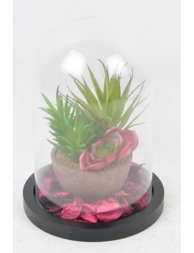 CACTUS POT POURRI SOUS CLOCHE EN VERRE RED