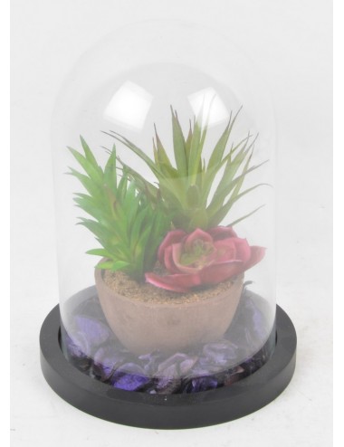 CACTUS POT POURRI SOUS CLOCHE EN VERRE RED