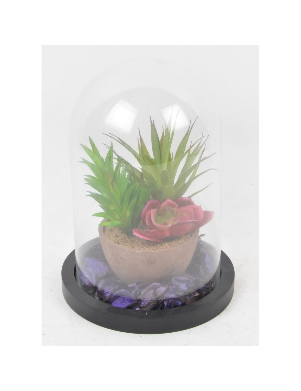 CACTUS POT POURRI SOUS CLOCHE EN VERRE RED