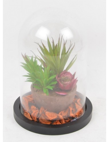 CACTUS POT POURRI SOUS CLOCHE EN VERRE RED