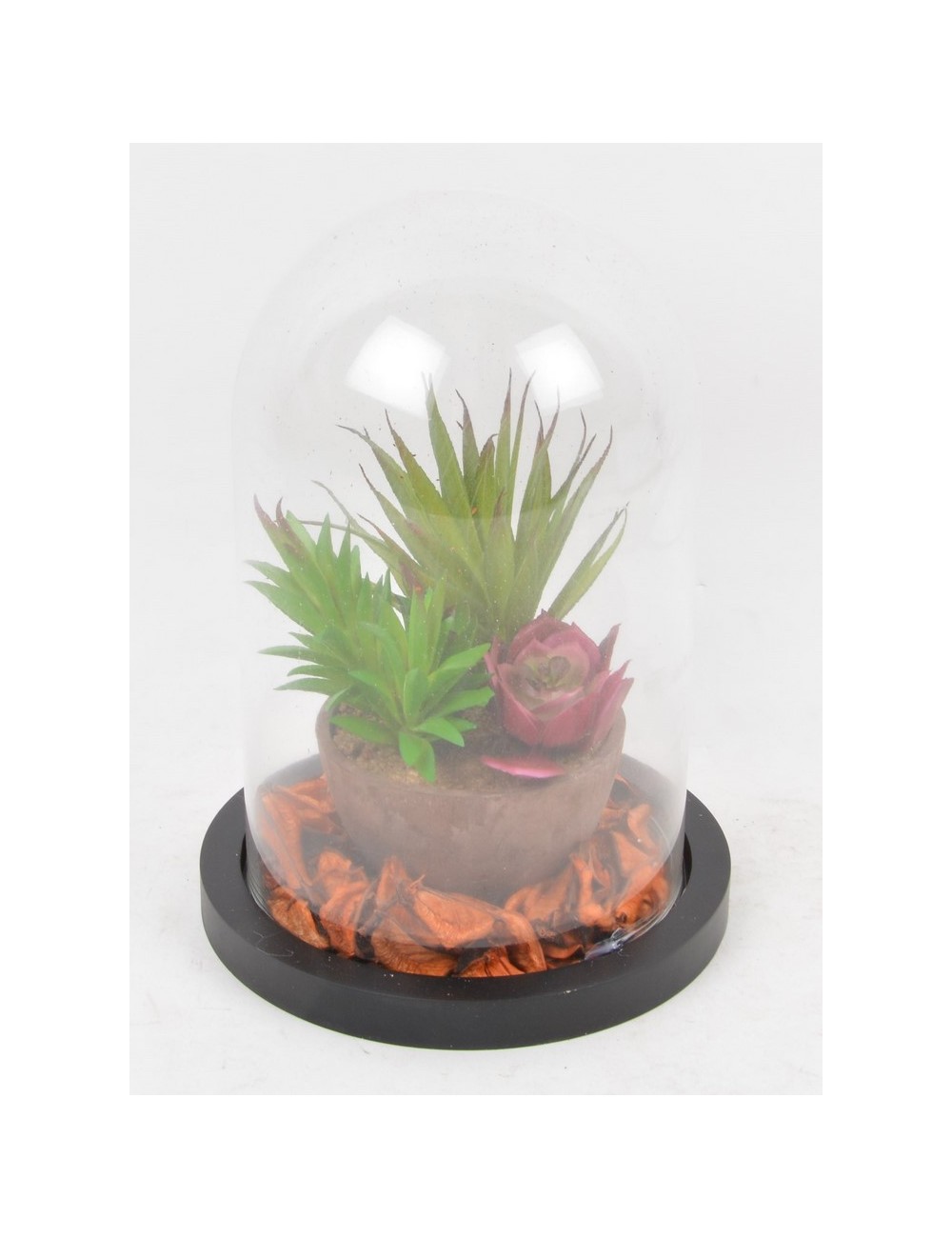 CACTUS POT POURRI SOUS CLOCHE EN VERRE RED