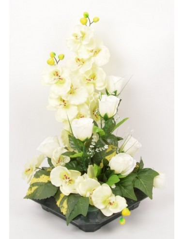 PLATEAU BOUTON ORCHIDEE