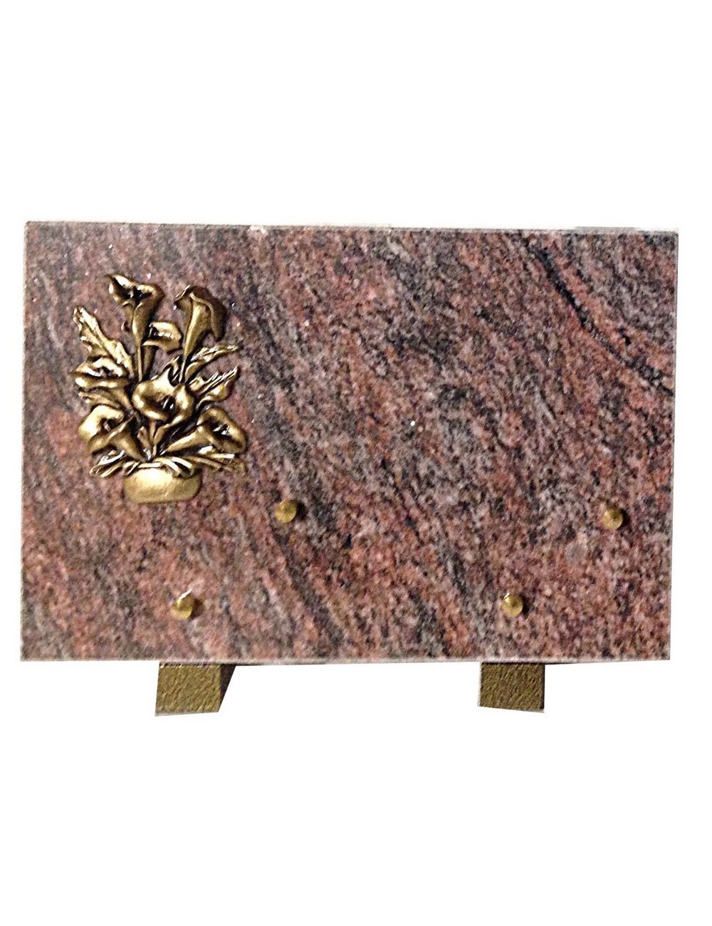 PLAQUE 18 X 25 CHANTS SCIES + BRONZE PLAQUE 18 X 25 CHANTS SCIES + BRONZE