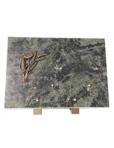 PLAQUE 35 X 25 CHANTS SCIES + BRONZE