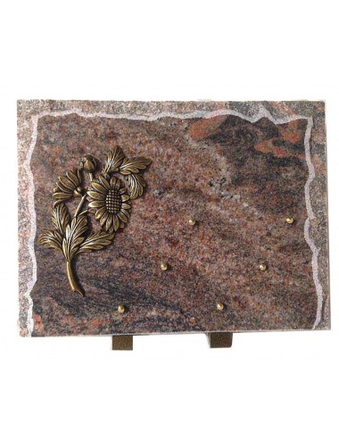 PLAQUE 40 X 30 CHANTS SCIES + BRONZE