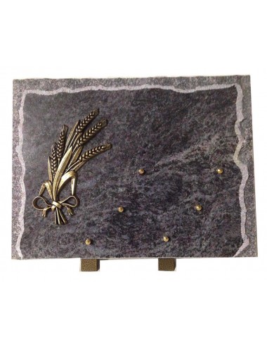 PLAQUE 40 X 30 CHANTS SCIES + BRONZE