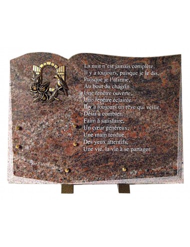 PLAQUE 30 X 40 CHANTS SCIES + BRONZE