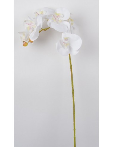 BRANCHE ORCHIDEE 5 FLEURONS WHITE