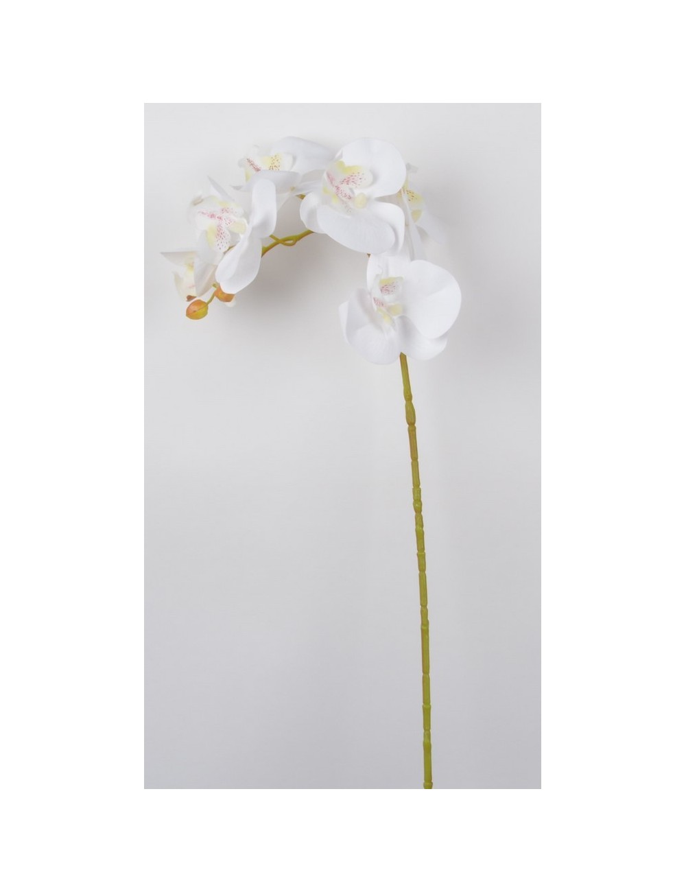 BRANCHE ORCHIDEE 5 FLEURONS ASS