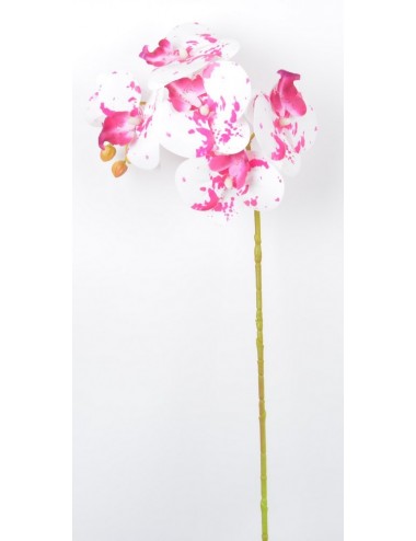 BRANCHE ORCHIDEE 5 FLEURONS PINK CREAM