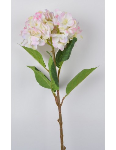 HORTENSIA TIGE LIGHT PINK