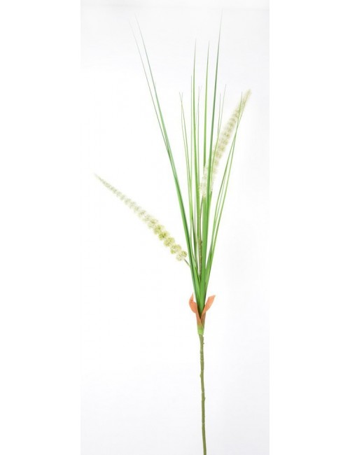 TIGE DE GRAMINE PINK