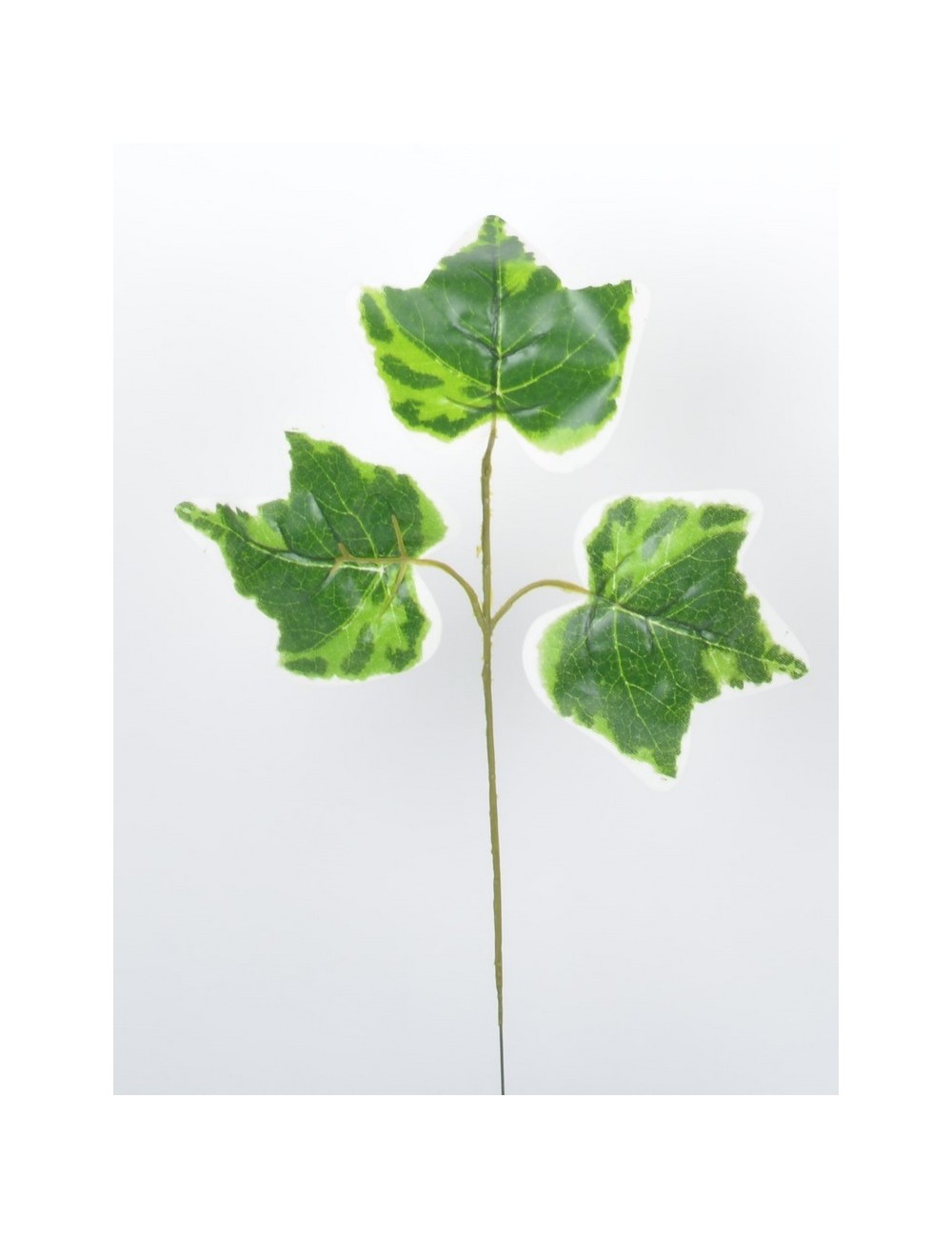 LIERRE X 3 VERT/BLANC LIERRE X 3 VERT/BLANC