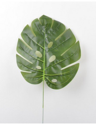 MONSTERA GM GREEN