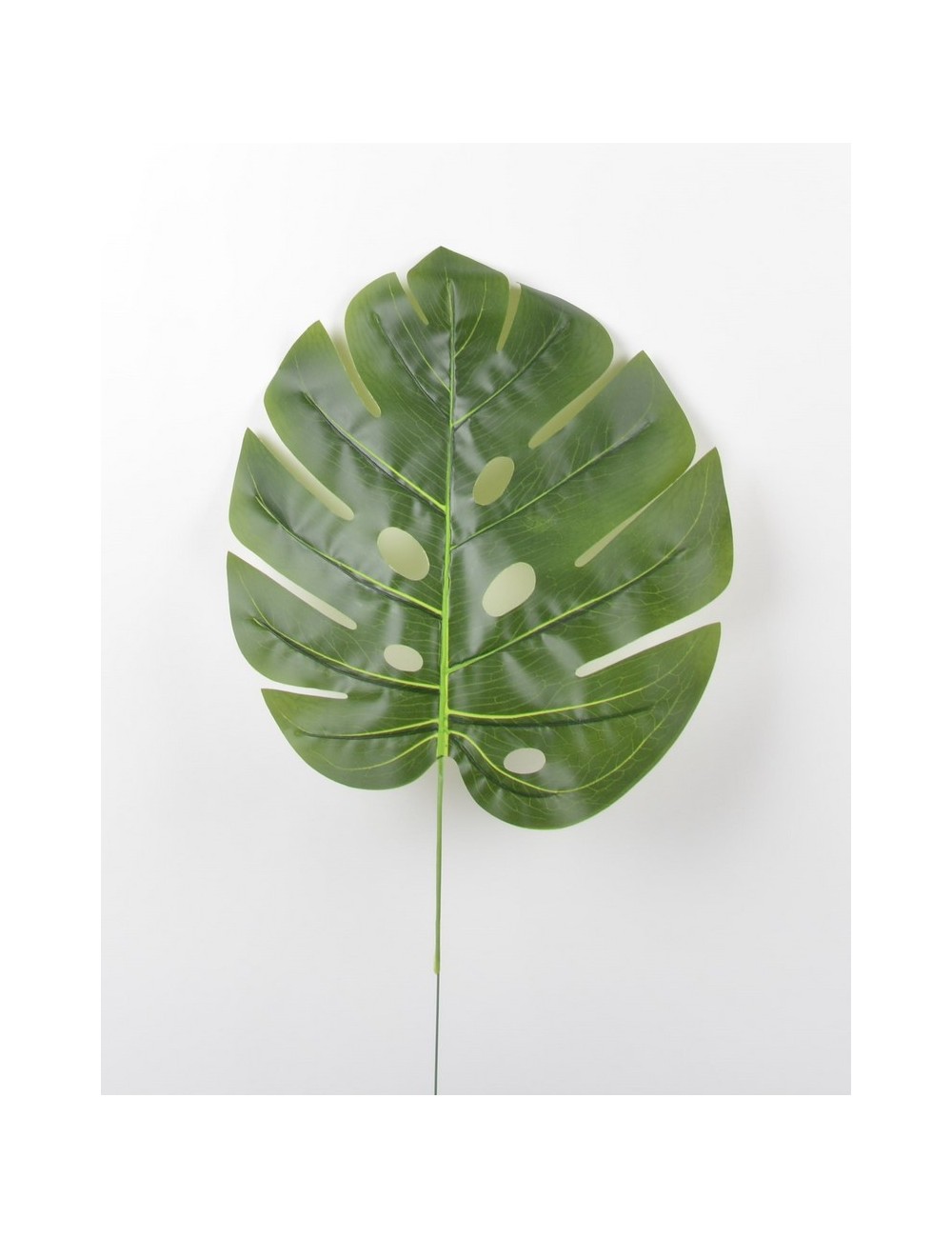 MONSTERA GM GREEN